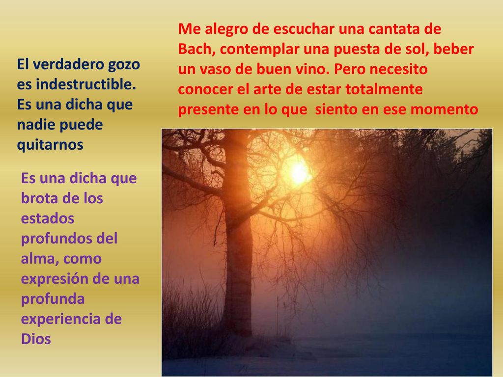 Me alegro de escuchar una cantata de Bach, contemplar una puesta de sol, beber un vaso de buen vino. Pero necesito conocer el arte de estar totalmente presente en lo que siento en ese momento
