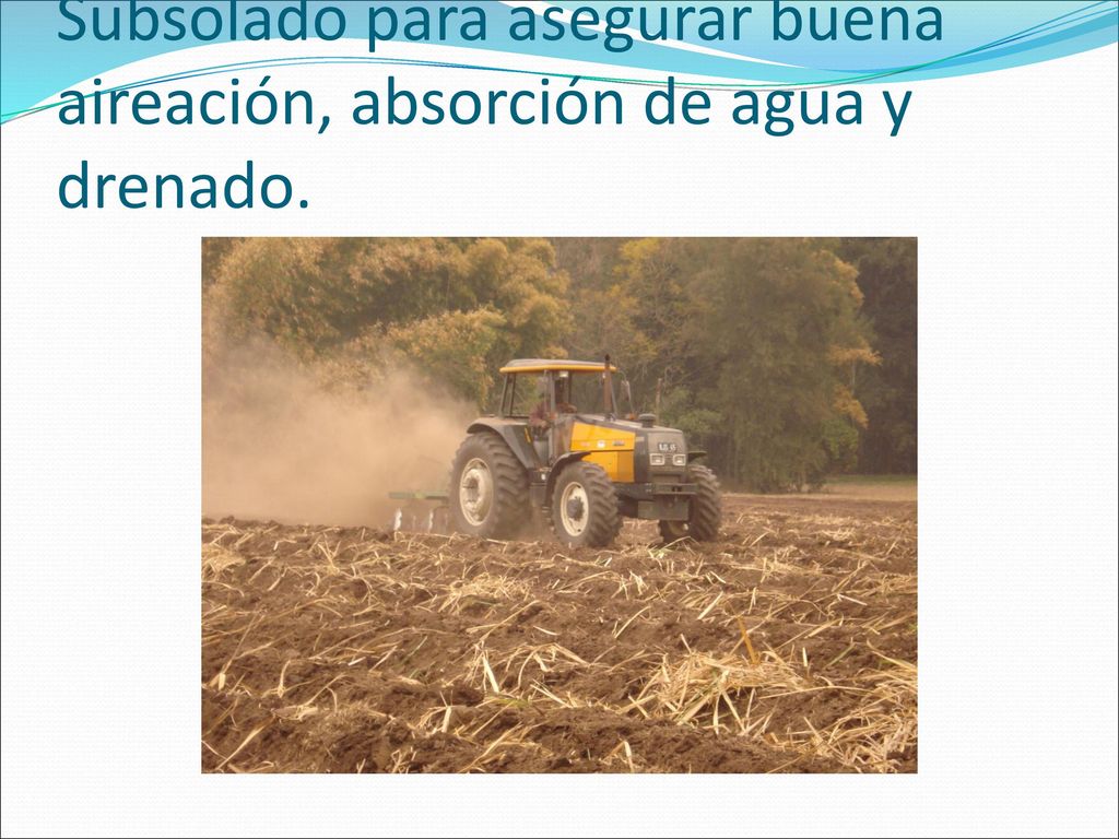 Subsolado para asegurar buena aireación, absorción de agua y drenado.