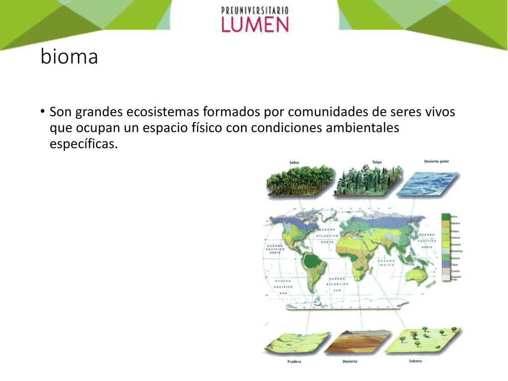 bioma Son grandes ecosistemas formados por comunidades de seres vivos que ocupan un espacio físico con condiciones ambientales específicas.