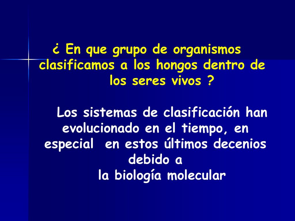 ¿ En que grupo de organismos clasificamos a los hongos dentro de