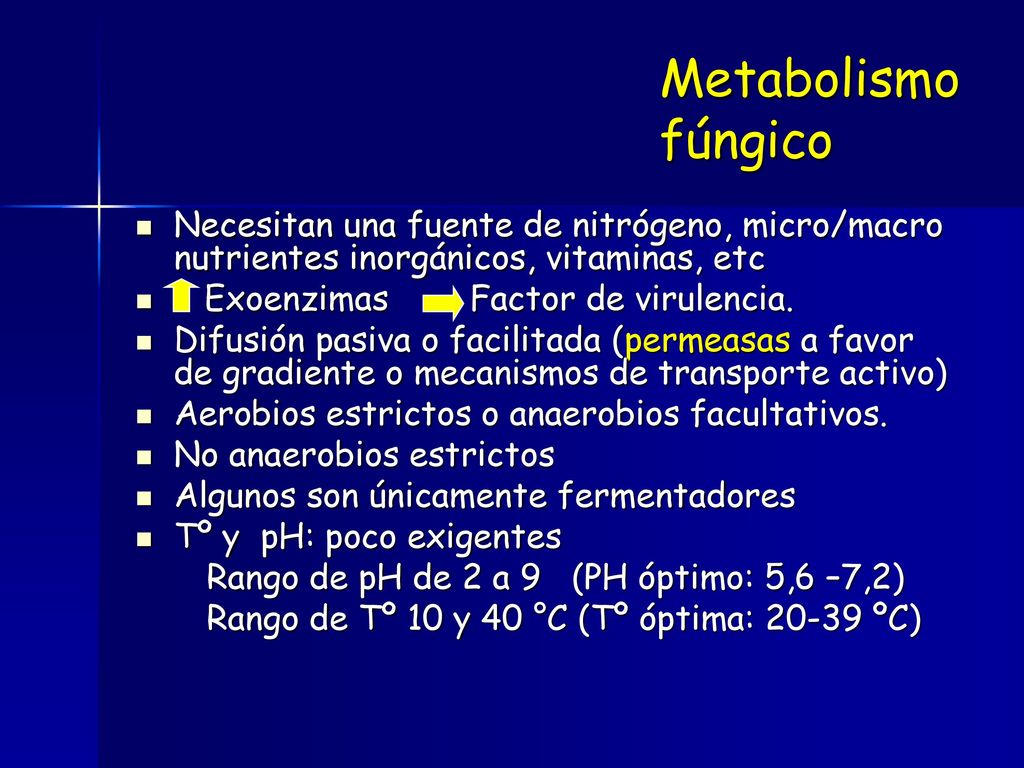 Metabolismo fúngico Necesitan una fuente de nitrógeno, micro/macro nutrientes inorgánicos, vitaminas, etc.