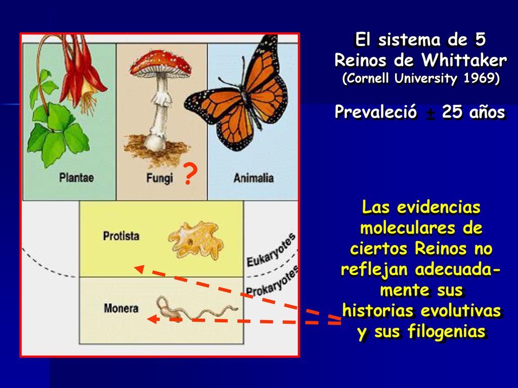 El sistema de 5 Reinos de Whittaker (Cornell University 1969)