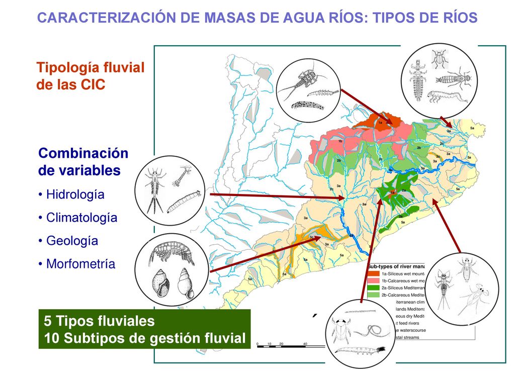 CARACTERIZACIÓN DE MASAS DE AGUA RÍOS: TIPOS DE RÍOS