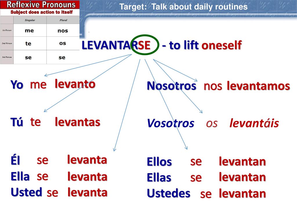 LEVANTAR - to lift SE oneself Yo Tú Él Ella Usted me levanto Nosotros