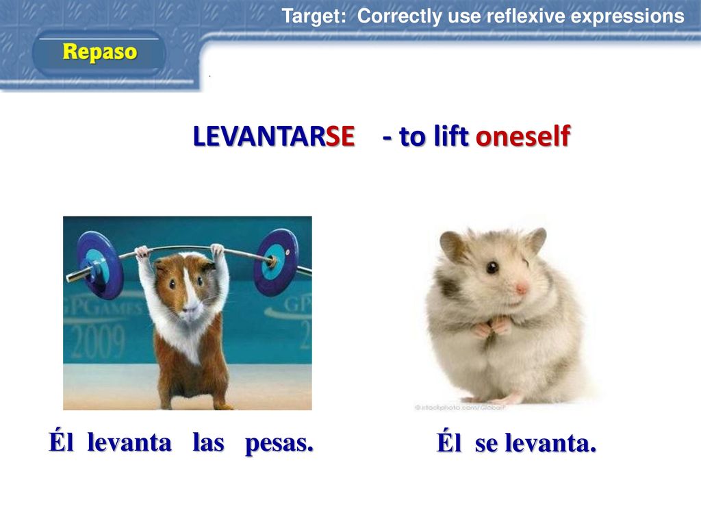 LEVANTAR - to lift SE oneself Él levanta las pesas. Él se levanta.