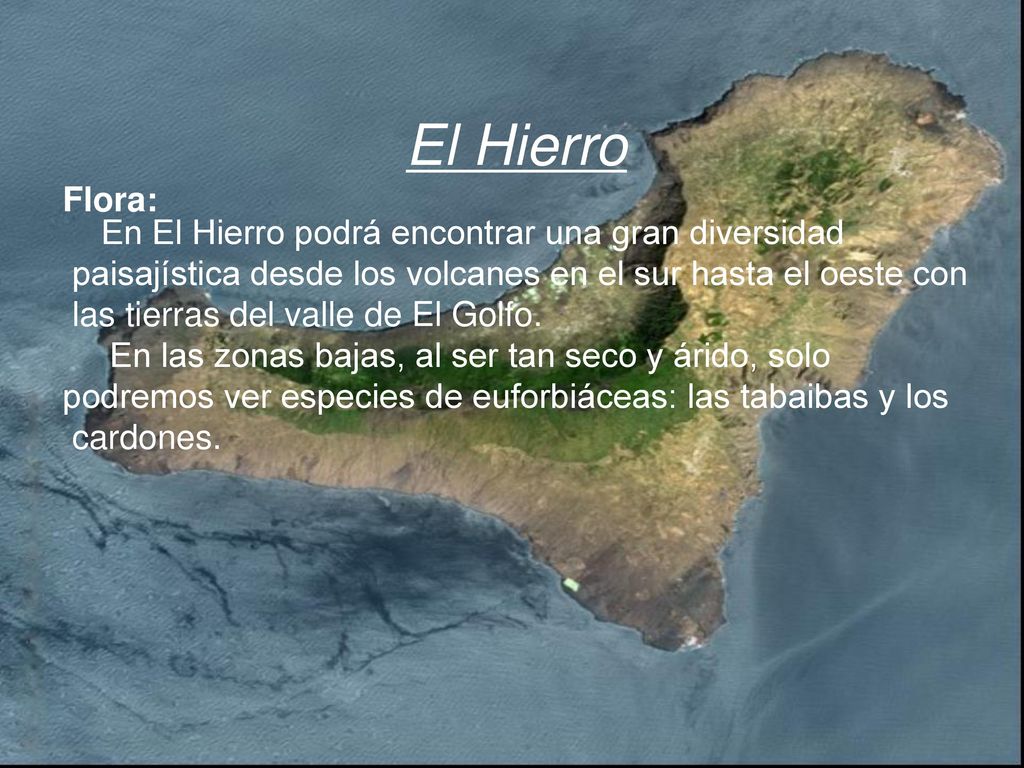 El Hierro Flora: En El Hierro podrá encontrar una gran diversidad