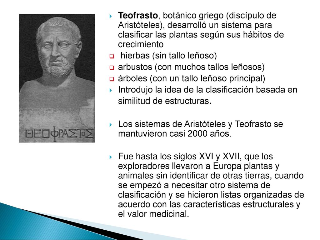 Teofrasto, botánico griego (discípulo de Aristóteles), desarrolló un sistema para clasificar las plantas según sus hábitos de crecimiento