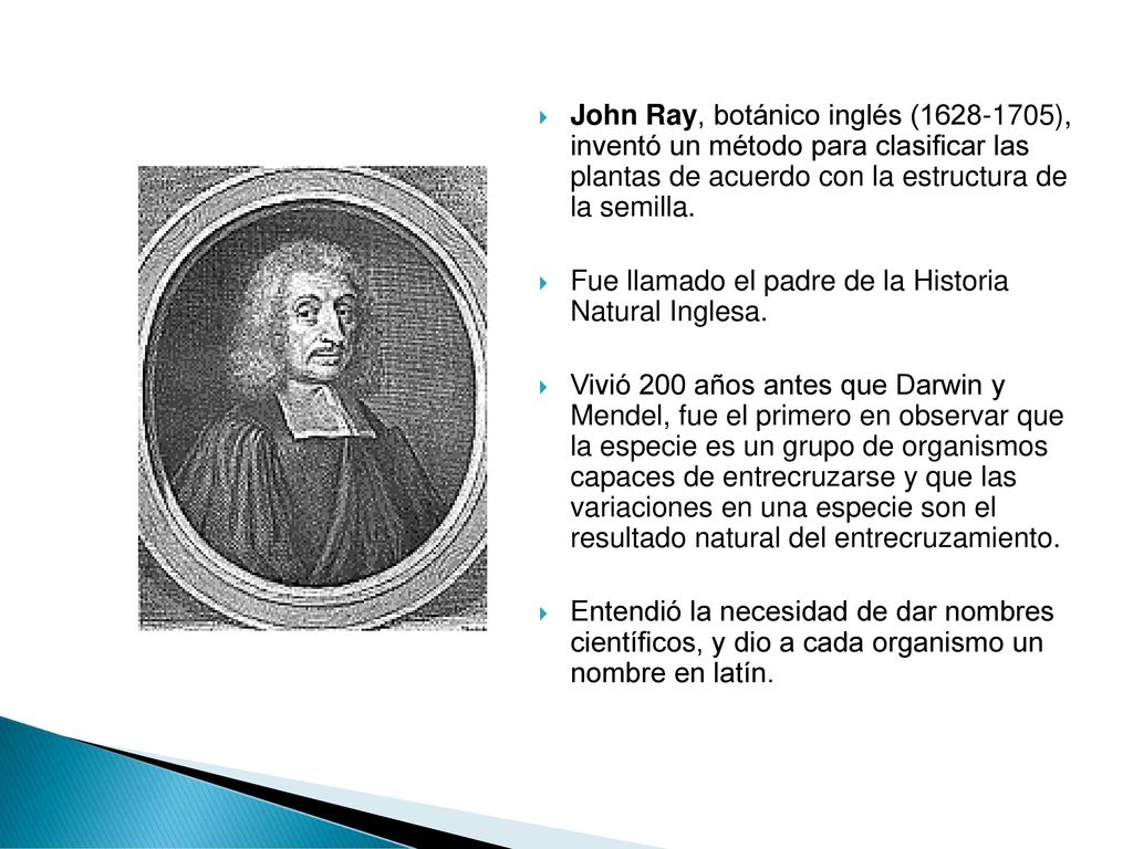 John Ray, botánico inglés ( ), inventó un método para clasificar las plantas de acuerdo con la estructura de la semilla.