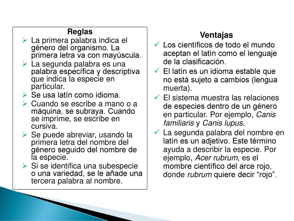 Reglas La primera palabra indica el género del organismo. La primera letra va con mayúscula.