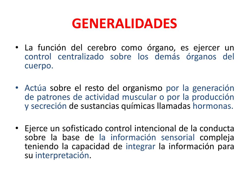 GENERALIDADES La función del cerebro como órgano, es ejercer un control centralizado sobre los demás órganos del cuerpo.
