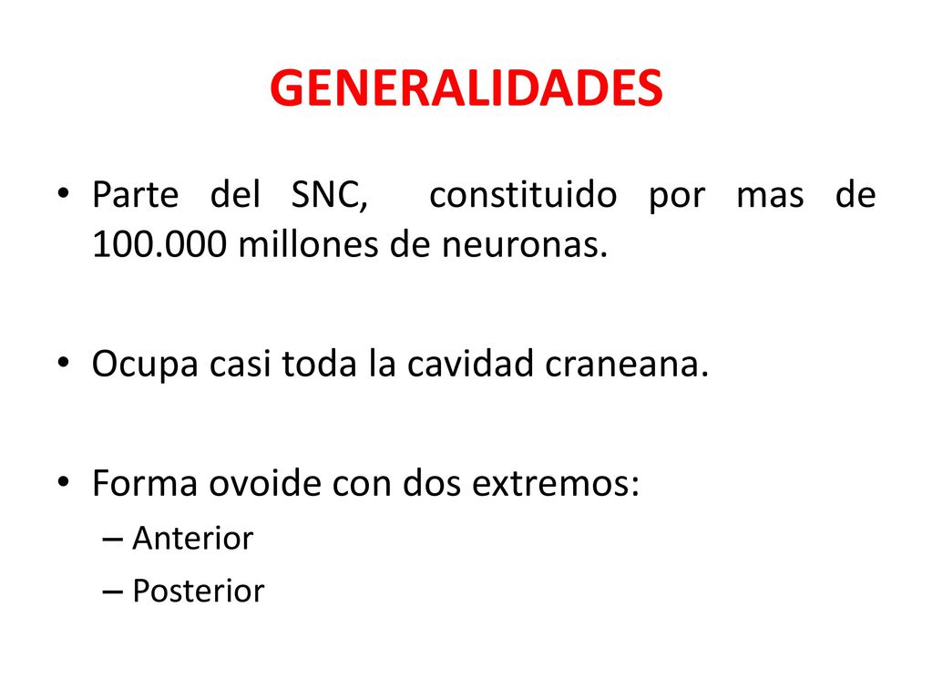 GENERALIDADES Parte del SNC, constituido por mas de millones de neuronas. Ocupa casi toda la cavidad craneana.