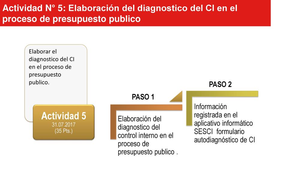 Actividad N° 5: Elaboración del diagnostico del CI en el proceso de presupuesto publico
