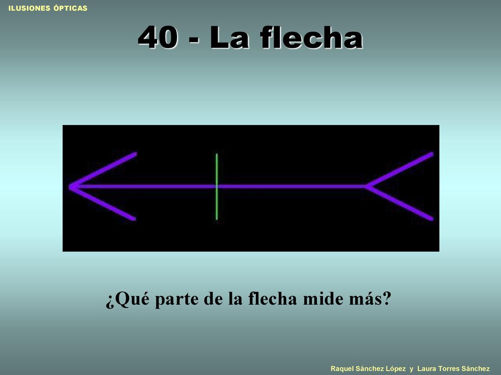 40 - La flecha ¿Qué parte de la flecha mide más