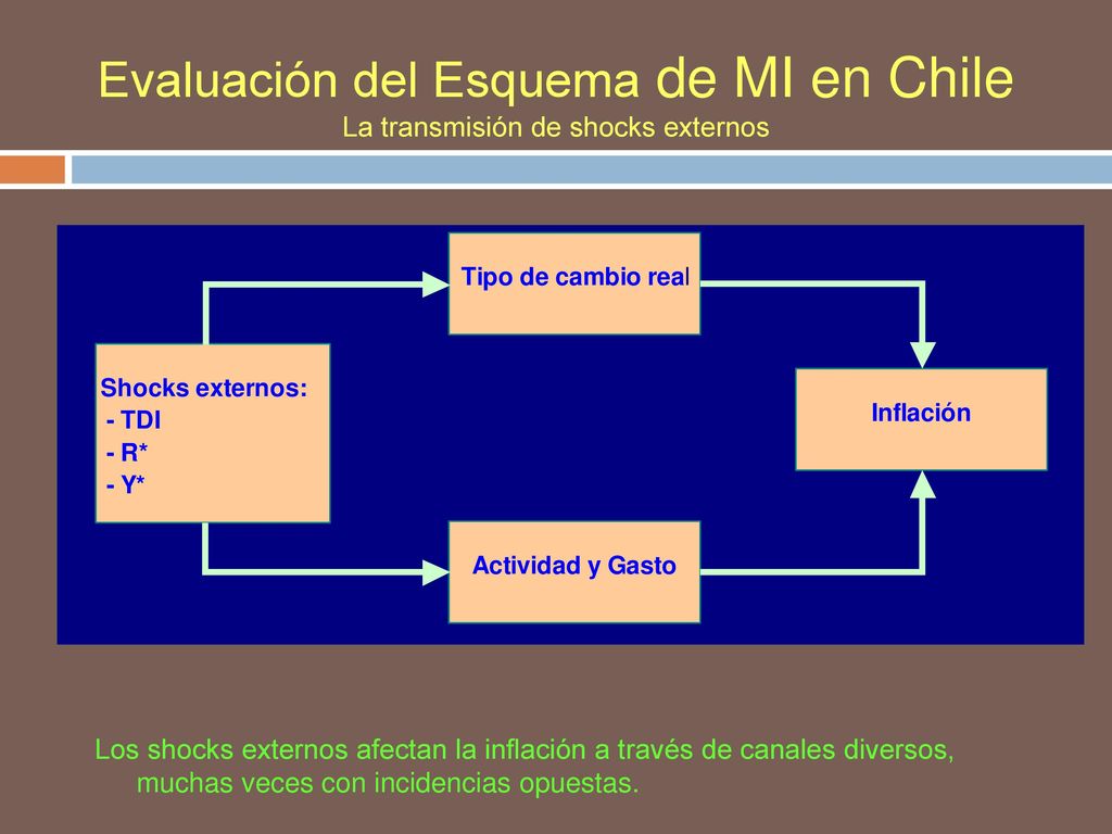 Evaluación del Esquema de MI en Chile La transmisión de shocks externos