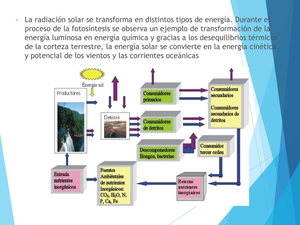 La radiación solar se transforma en distintos tipos de energía