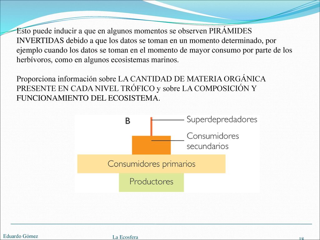 Esto puede inducir a que en algunos momentos se observen PIRÁMIDES INVERTIDAS debido a que los datos se toman en un momento determinado, por ejemplo cuando los datos se toman en el momento de mayor consumo por parte de los herbívoros, como en algunos ecosistemas marinos.