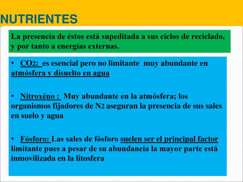 NUTRIENTES La presencia de éstos está supeditada a sus ciclos de reciclado, y por tanto a energías externas.