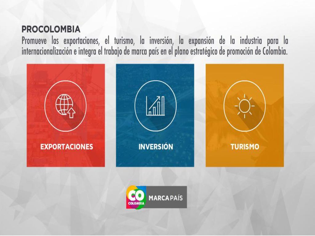 ProColombia promueve el fortalecimiento de encadenamientos entre los sectores industriales, a nivel nacional e internacional
