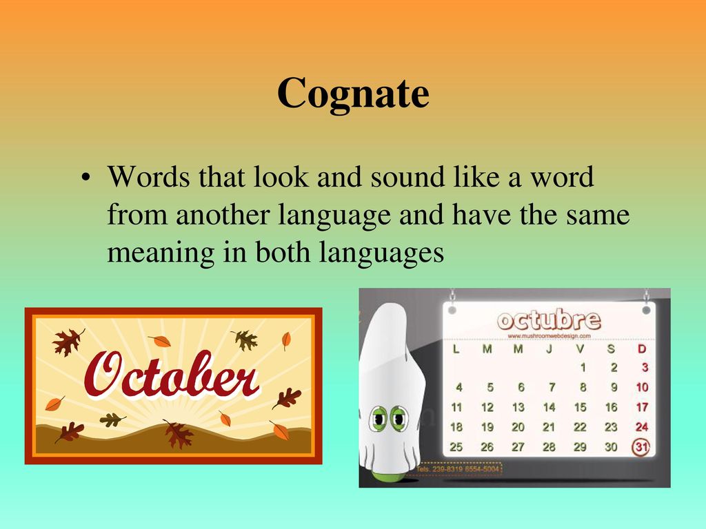 Cognate Words that look and sound like a word from another language and have the same meaning in both languages.