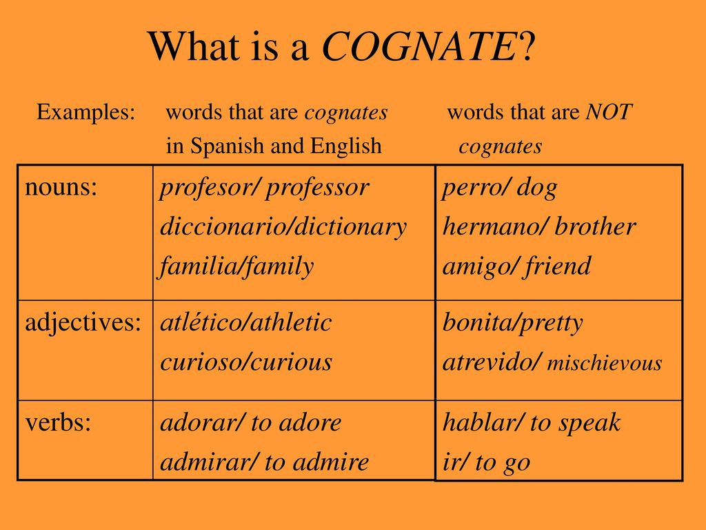 What is a COGNATE nouns: profesor/ professor diccionario/dictionary