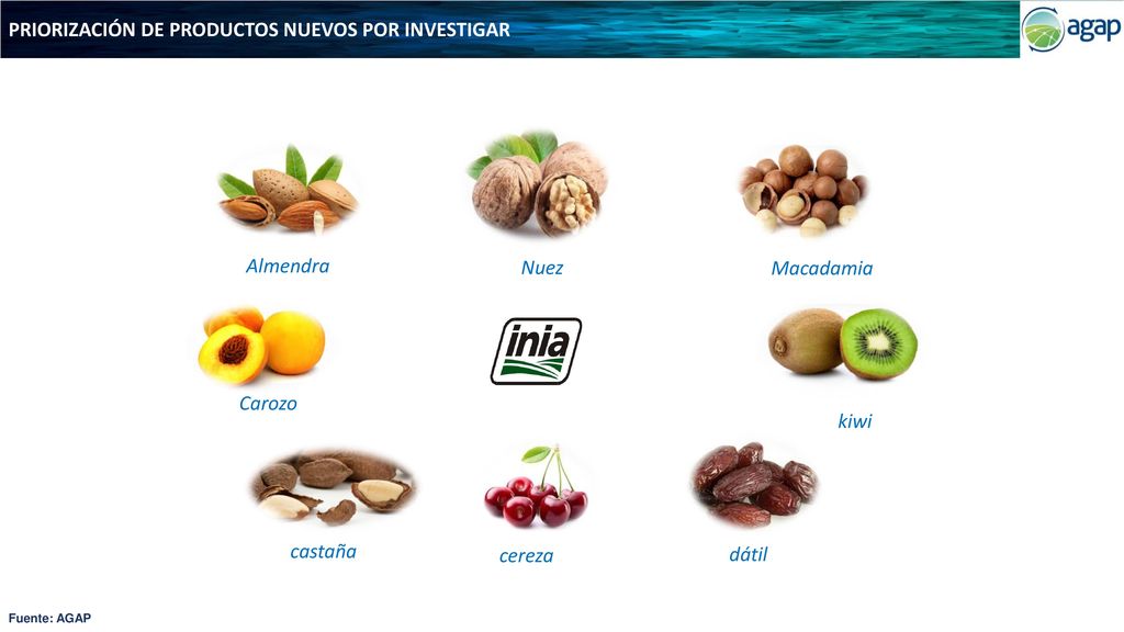 PRIORIZACIÓN DE PRODUCTOS NUEVOS POR INVESTIGAR