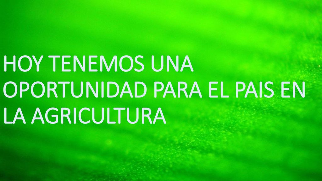 HOY TENEMOS UNA OPORTUNIDAD PARA EL PAIS EN LA AGRICULTURA