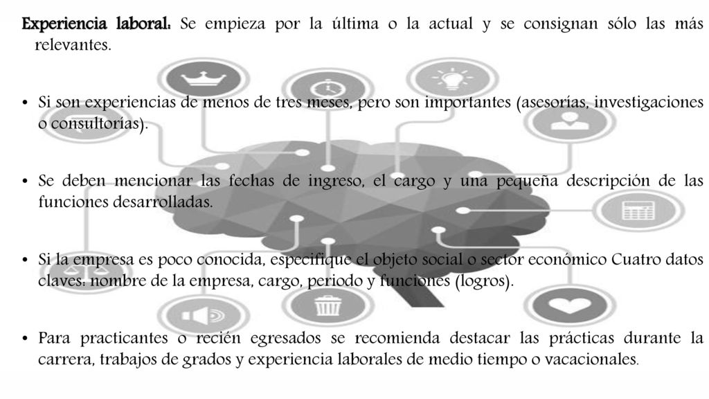 Experiencia laboral: Se empieza por la última o la actual y se consignan sólo las más relevantes.