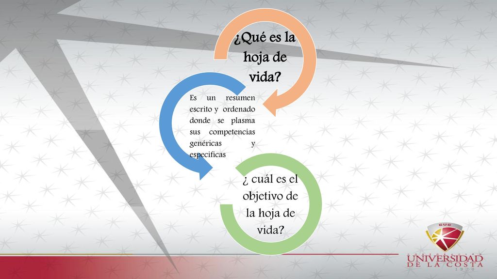 ¿ cuál es el objetivo de la hoja de vida