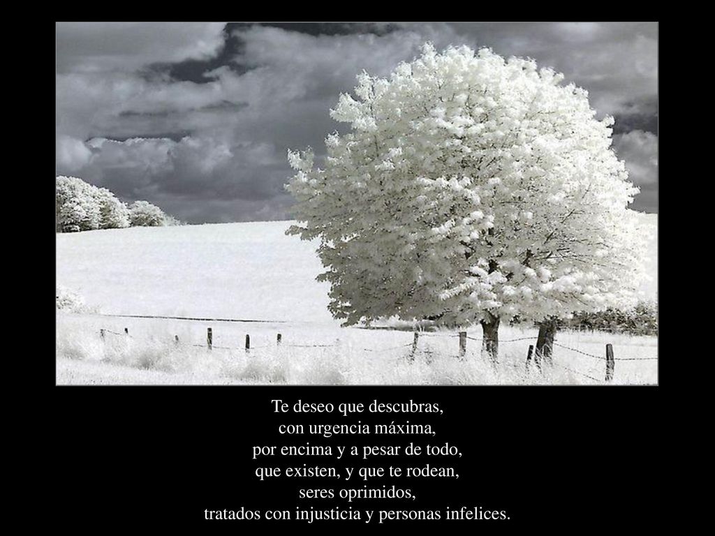 Te deseo que descubras, con urgencia máxima, por encima y a pesar de todo, que existen, y que te rodean, seres oprimidos, tratados con injusticia y personas infelices.