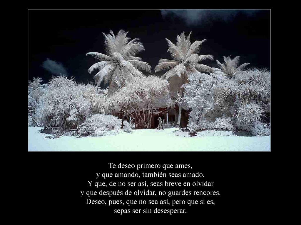 Te deseo primero que ames, y que amando, también seas amado