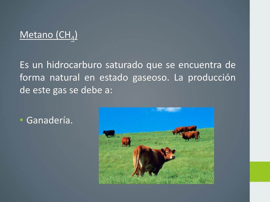Metano (CH4) Es un hidrocarburo saturado que se encuentra de forma natural en estado gaseoso. La producción de este gas se debe a: