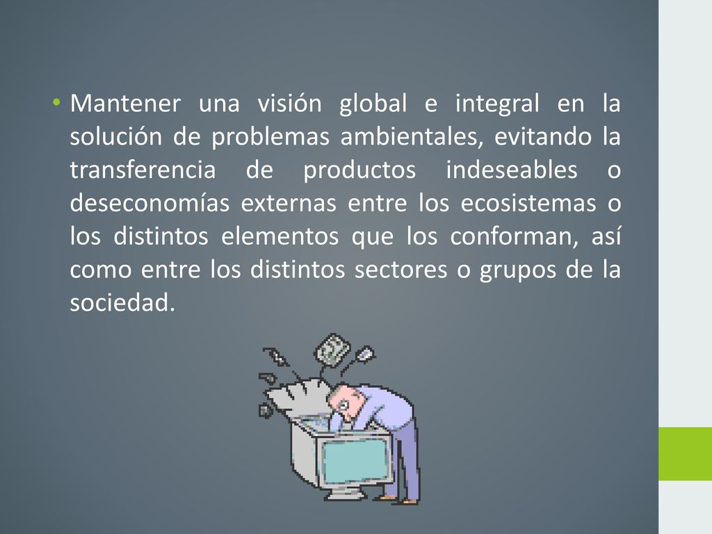 Mantener una visión global e integral en la solución de problemas ambientales, evitando la transferencia de productos indeseables o deseconomías externas entre los ecosistemas o los distintos elementos que los conforman, así como entre los distintos sectores o grupos de la sociedad.