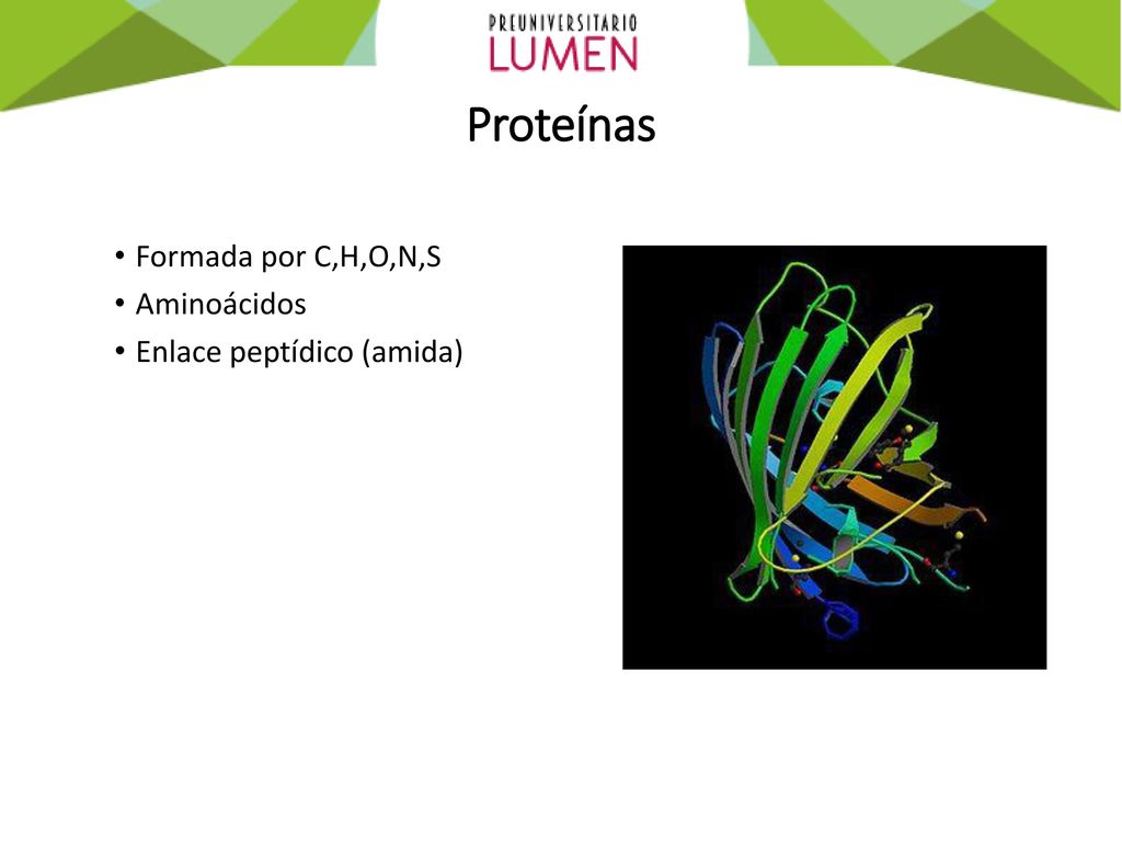 Proteínas Formada por C,H,O,N,S Aminoácidos Enlace peptídico (amida)