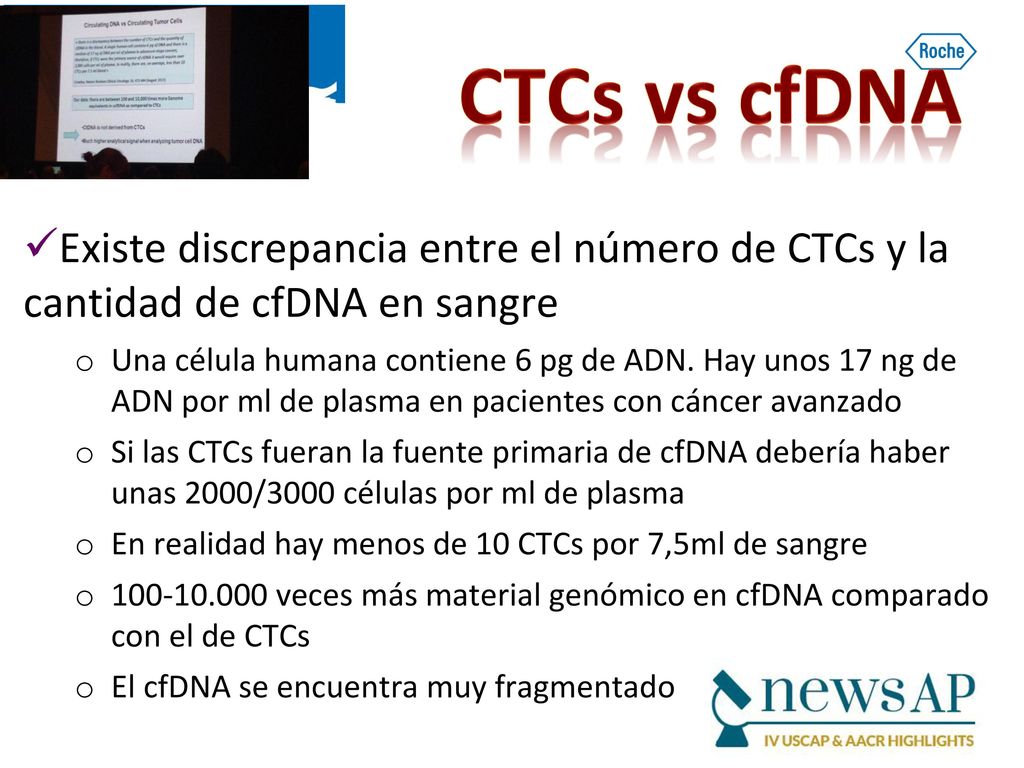 CTCs vs cfDNA Existe discrepancia entre el número de CTCs y la cantidad de cfDNA en sangre.