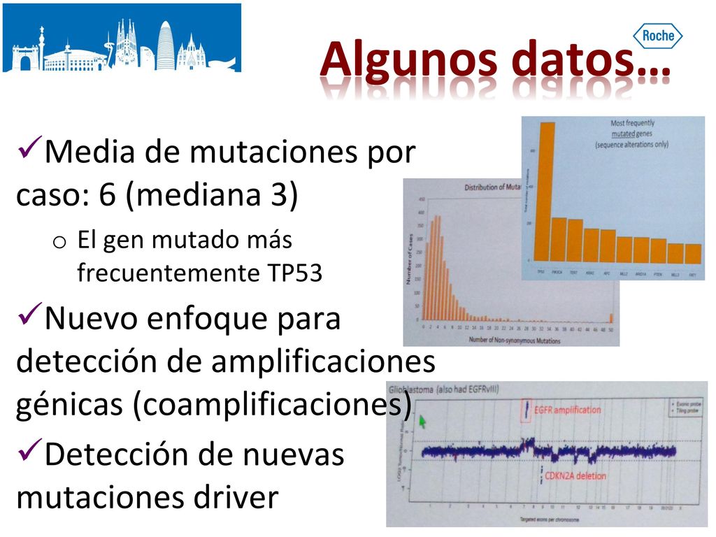 Algunos datos… Media de mutaciones por caso: 6 (mediana 3)