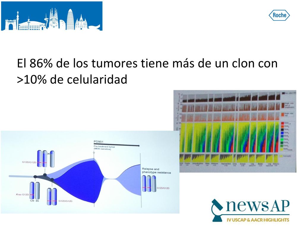 El 86% de los tumores tiene más de un clon con >10% de celularidad