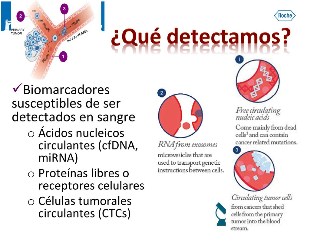 Primary tumor Blood vessel ¿Qué detectamos Biomarcadores susceptibles de ser detectados en sangre.