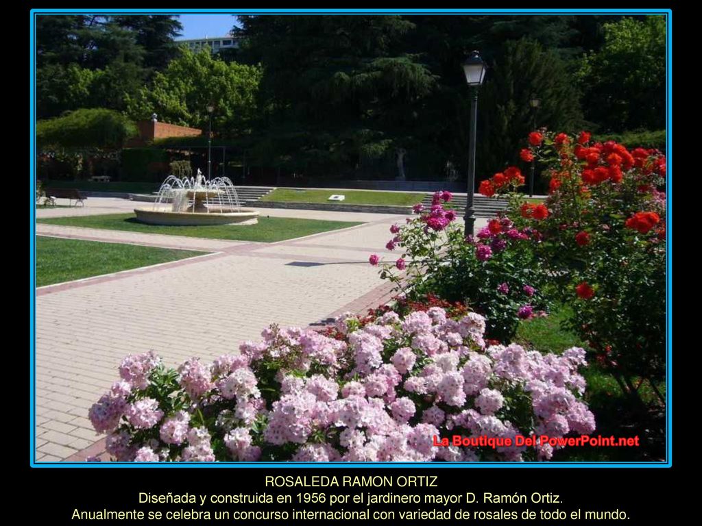 Diseñada y construida en 1956 por el jardinero mayor D. Ramón Ortiz.