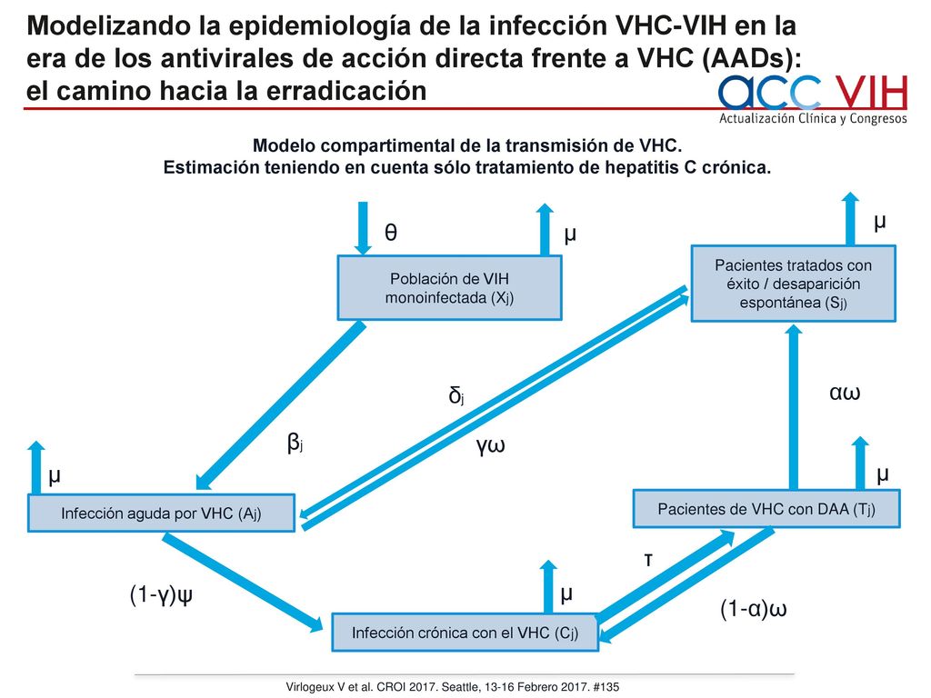 Modelizando la epidemiología de la infección VHC-VIH en la era de los antivirales de acción directa frente a VHC (AADs): el camino hacia la erradicación