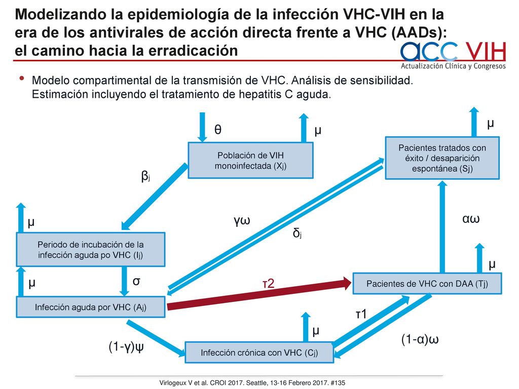 Modelizando la epidemiología de la infección VHC-VIH en la era de los antivirales de acción directa frente a VHC (AADs): el camino hacia la erradicación