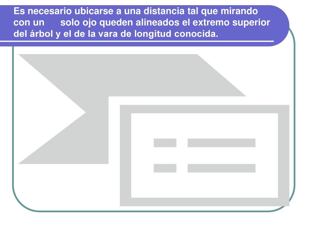 Es necesario ubicarse a una distancia tal que mirando con un solo ojo queden alineados el extremo superior del árbol y el de la vara de longitud conocida.
