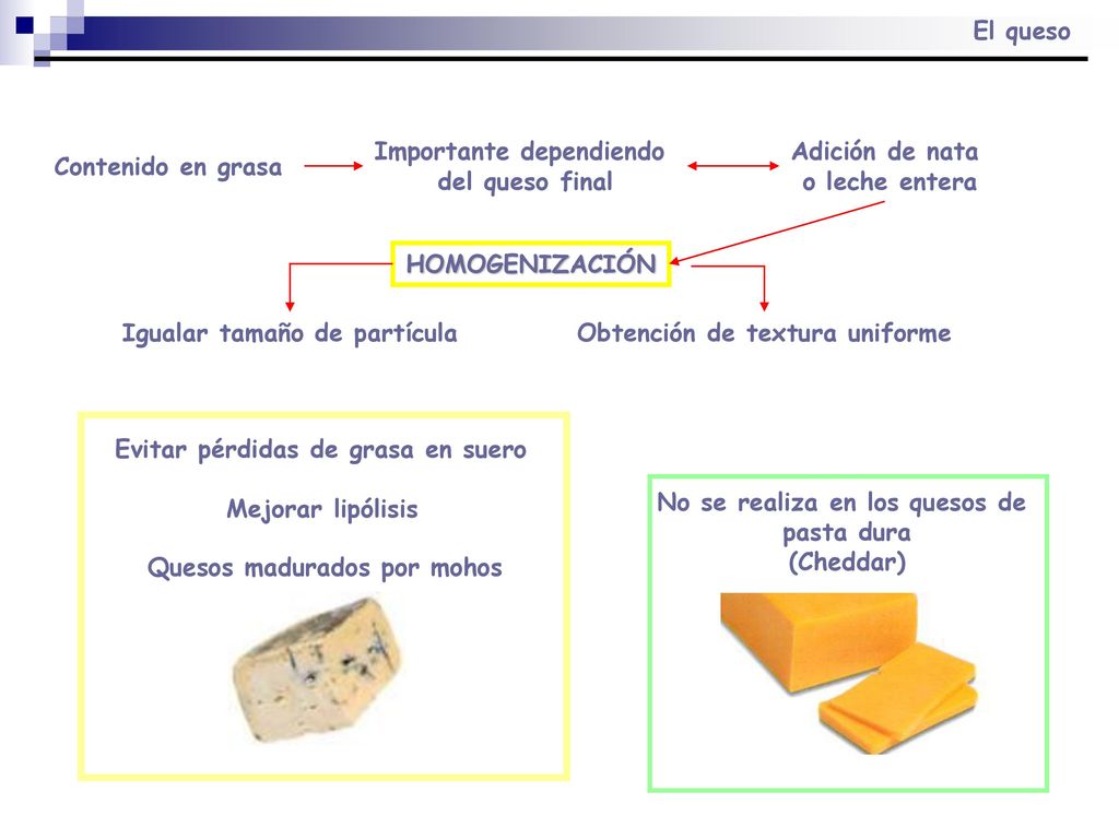 Importante dependiendo del queso final Adición de nata o leche entera