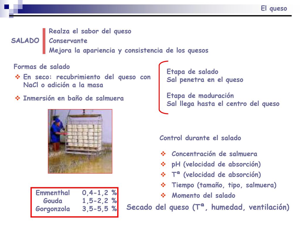 Control durante el salado Secado del queso (Tª, humedad, ventilación)