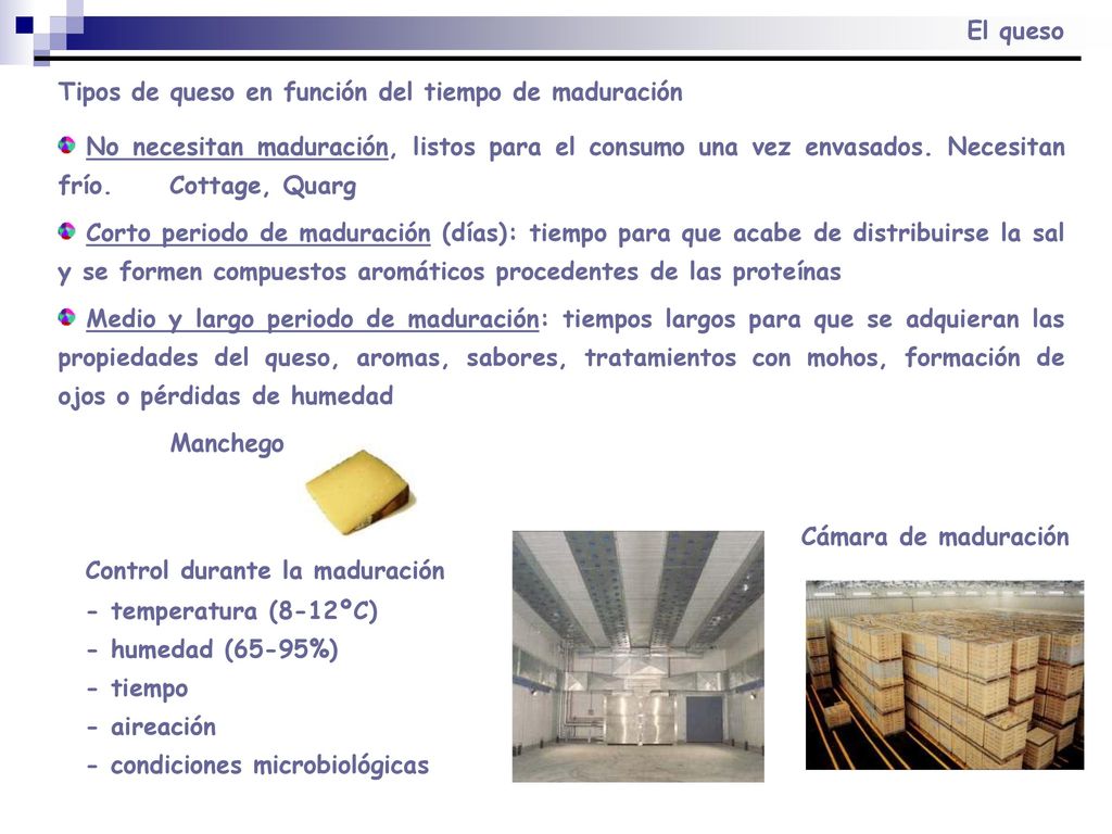 Tipos de queso en función del tiempo de maduración