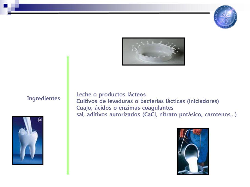 Leche o productos lácteos