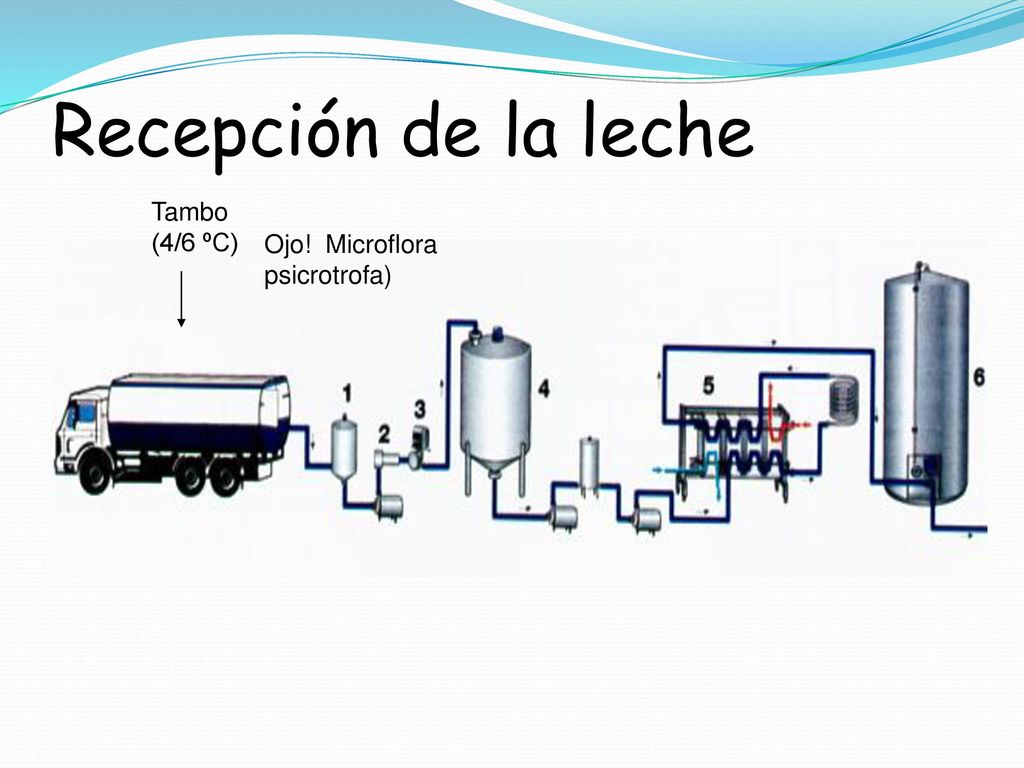 Recepción de la leche Tambo (4/6 ºC) Ojo! Microflora psicrotrofa)