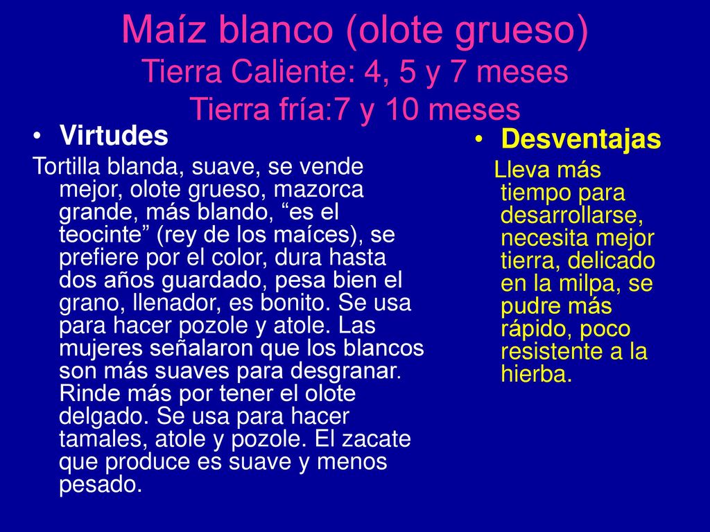 Maíz blanco (olote grueso) Tierra Caliente: 4, 5 y 7 meses Tierra fría:7 y 10 meses
