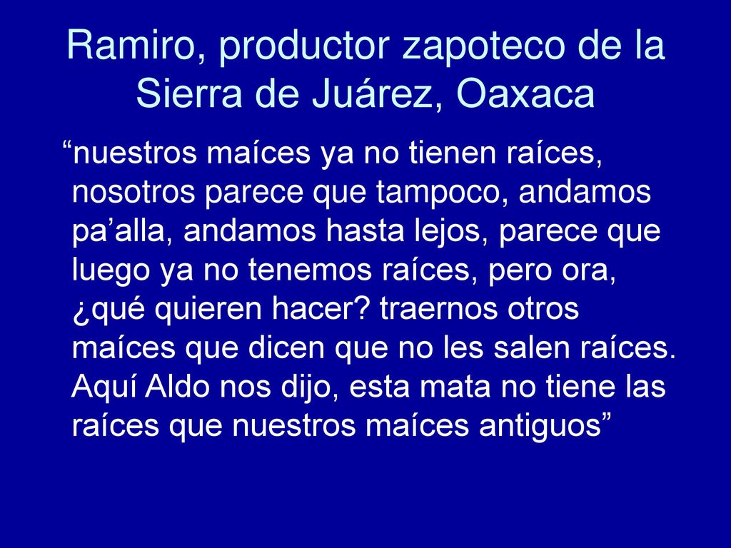 Ramiro, productor zapoteco de la Sierra de Juárez, Oaxaca