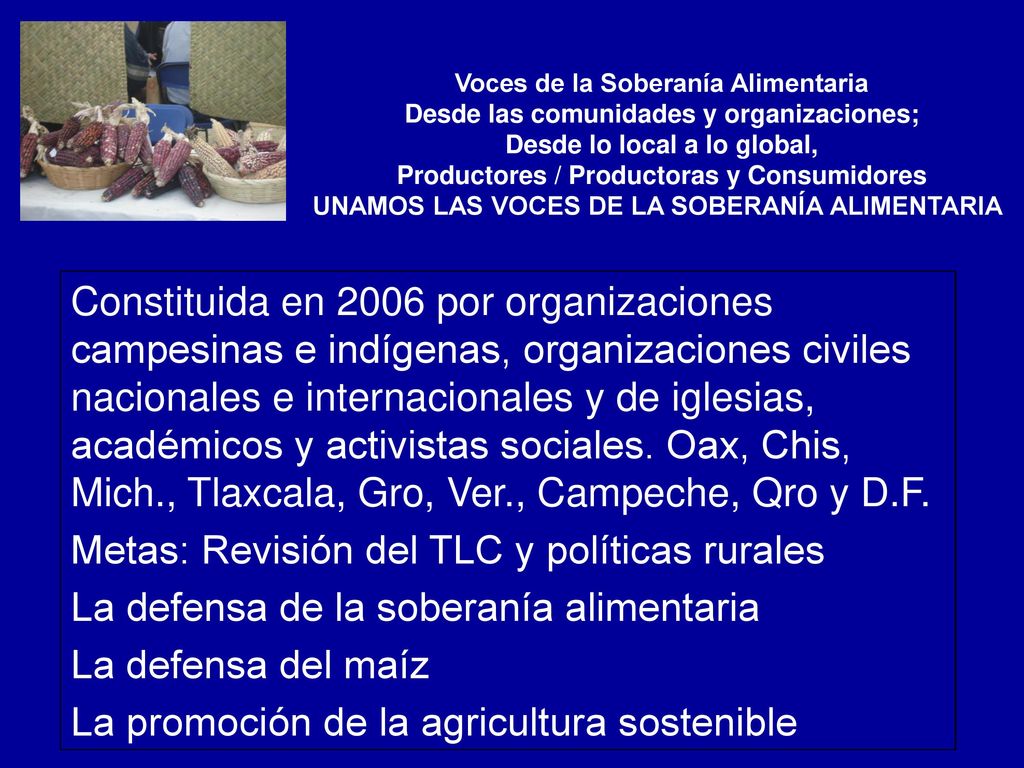 Productores / Productoras y Consumidores