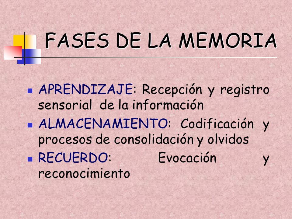 FASES DE LA MEMORIA APRENDIZAJE: Recepción y registro sensorial de la información.